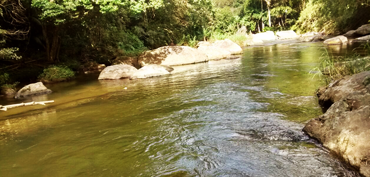 Cachoeira Gianini