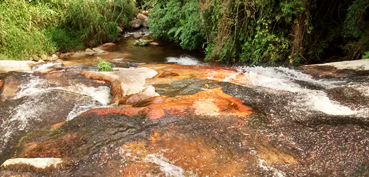 Cachoeira Indiana Jones