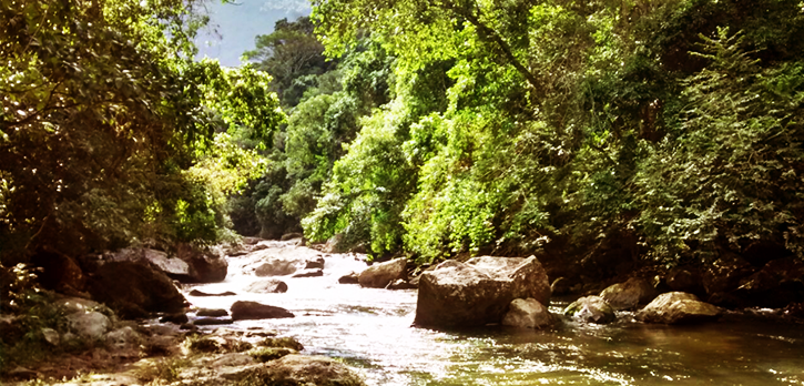 Cachoeira Gianini